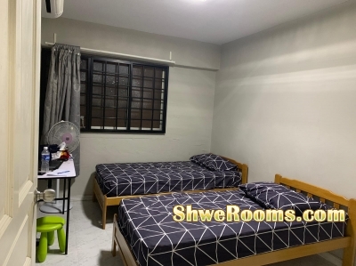 One lady roommate needed at bedok