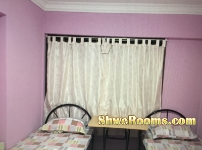 Room Vacancy for 1 ladies @ Sengkang