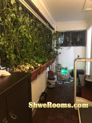 One common room for rent in Pasir Ris 