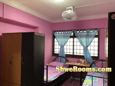 Room Vacancy for one lady @ Sengkang