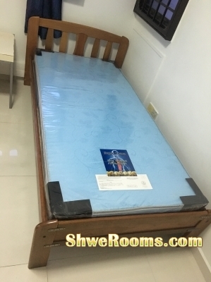 ðŸŒ¿ðŸŒ¿1 Lady Share Common Bedroom Lavender MRT ðŸŒ¿ðŸŒ¿