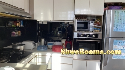 One common room to rent in Pasir Ris