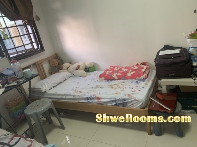 ðŸŒ¿1 Lady Share Common Bedroom Lavender MRT ðŸŒ¿