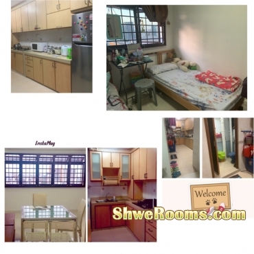 ðŸŒ¿1 Lady Share Common Bedroom Lavender MRT ðŸŒ¿