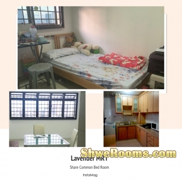 ðŸŒ¿1 Lady Share Common Bedroom Lavender MRT ðŸŒ¿