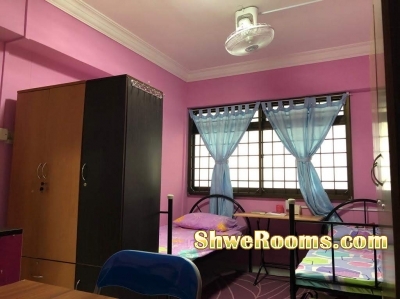 Room vacancy for one lady @ Sengkang