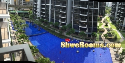 CONDO Poolview $950/2minSengkangMRT