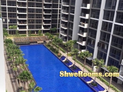 CONDO Poolview $950/2minSengkangMRT