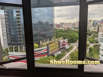 One male roommate available at lavender mrt