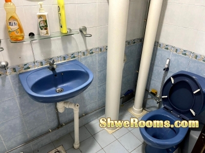 One roommate available at lavender mrt