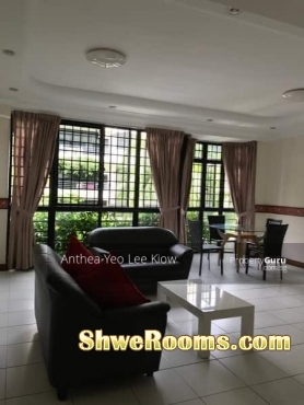 Common Room to Rent @ Upper Changi MRT