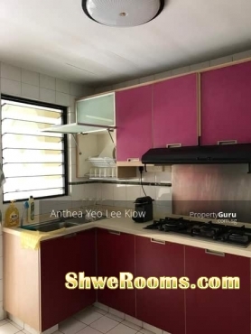 Common Room to Rent @ Upper Changi MRT