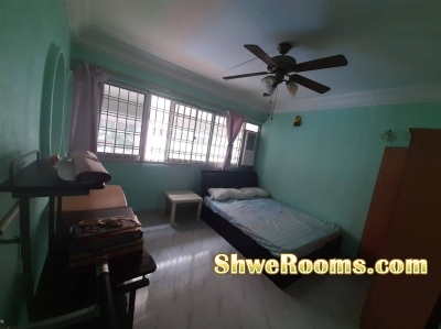 Common Room to rent in Tampines