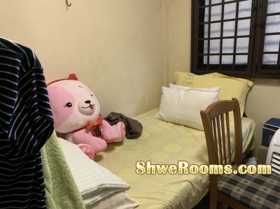 Single ( utility) room á€„á€¾á€¬á€¸á€›á€”á€º á€›á€¾á€­á€žá€Šá€º