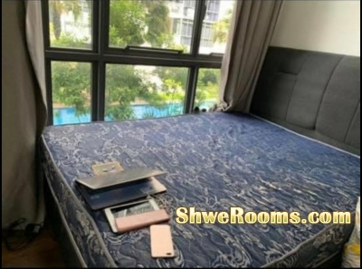 Condo Common Room for Rent Opposite Seng Kang MRT