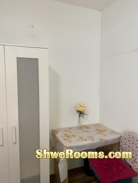 Available one lady roommate for common room @ Punggol (Immediate Available)