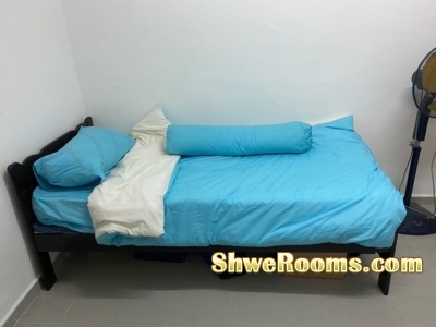 HDB whole unit for rent in Lavender