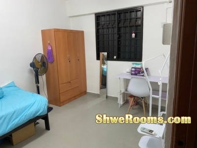 HDB whole unit for rent in Lavender