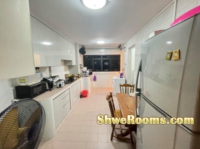 HDB whole unit for rent in Lavender