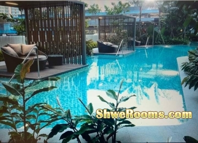 Common Room(Condo) For Rent at Queenstown