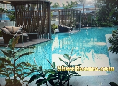 Common Room(Condo) For Rent at Queenstown (Green Line)