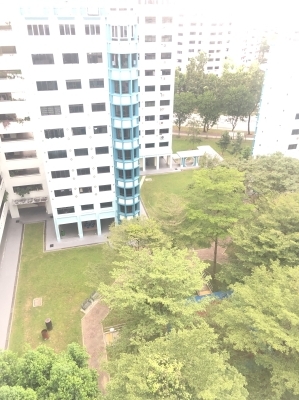 Lady Roommate in Master room near Lake Side MRT