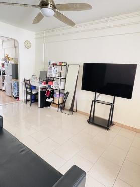 Bishan Master Room (looking for 1 female roommate)