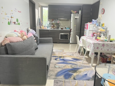 2 Bedroom condo unit to rent near Senkang 