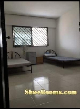 Common Room/Master Room for rent