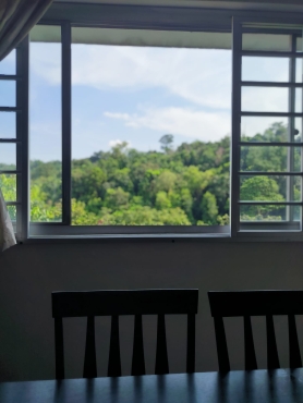 1 Female Room Mate Near Bukit Batok