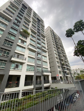 One Common Room for Rent Near Punggol MRT