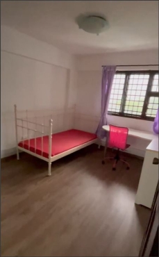 One Lady to share Big Common Room_Available @ BEDOK_MRT