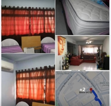 Looking for one Male roommate, PIONEER MRT 