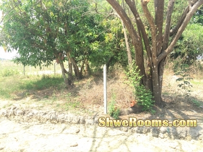 Land for Sell Near Yangon West University