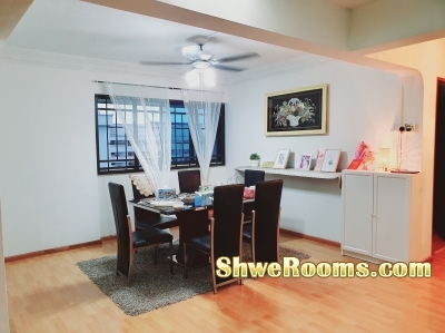 Cozy HDB 5 Room Flat Sales