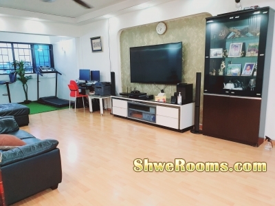 Cozy HDB 5 Room Flat Sales