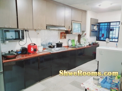 Cozy HDB 5 Room Flat Sales