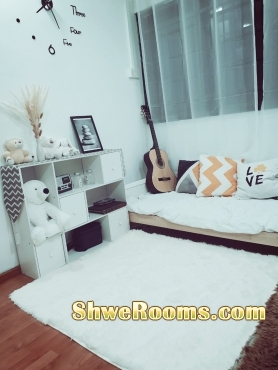 Cozy HDB 5 Room Flat Sales